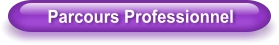 Parcours Professionnel